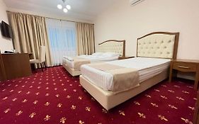 Hotel Paltinis Hunedoara